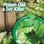 Poison Ivy & Oak Killer Spray- Bonide – 32 oz